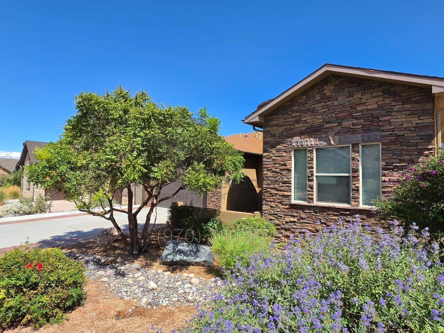 Stunning 3 bed 2 bath home near Tiara Rado property image